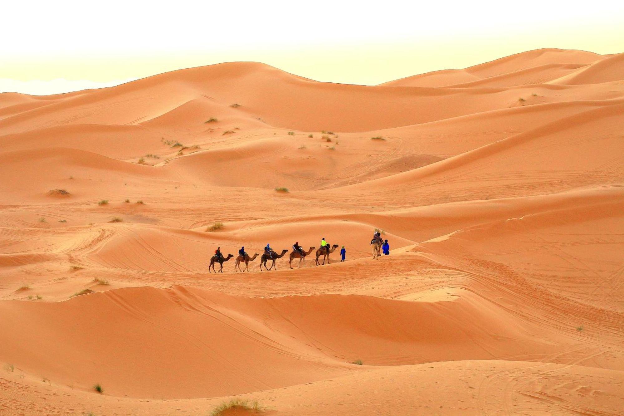 Tafouyte Luxury Camp Hotel Merzouga Værelse billede